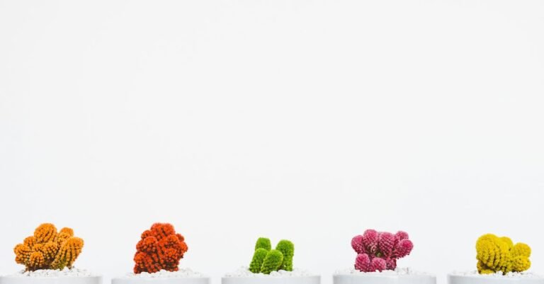 Beauty Tips: How To Make The Best Choices