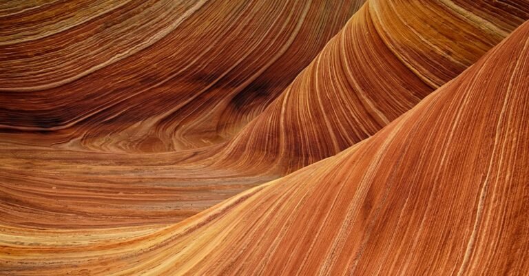 Beauty Tips Every Girl Must Know